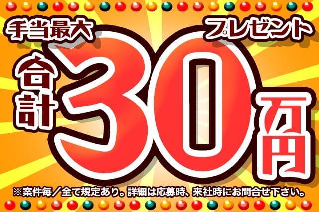 各種手当の合計で最大こんなにもらえる!