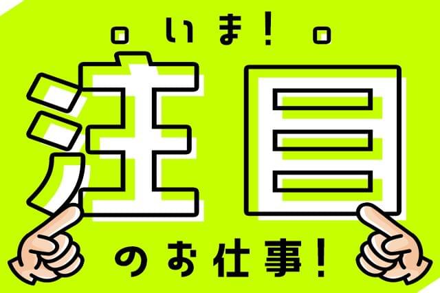 株式会社綜合キャリアオプション 1314vj1021g4 41 の派遣社員情報 イーアイデム 伊達市の製造 組立 加工求人 情報 Id A