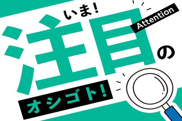 株式会社綜合キャリアオプション 1314vj0916g12 3 の派遣社員情報 イーアイデム 恵那 市の入出庫 商品管理 検品求人情報 Id A