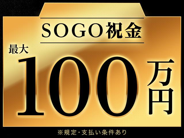 株式会社綜合キャリアオプション（1314VJ0528G43★20-S-T2）