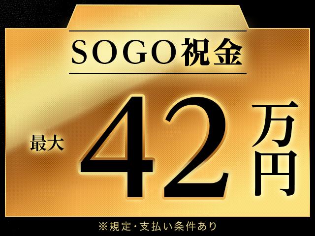 株式会社綜合キャリアオプション（1314VJ0528G46★10-S-T2）