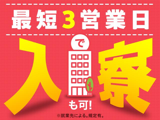 株式会社綜合キャリアオプション（1314VJ0528G40★17-S-T2）
