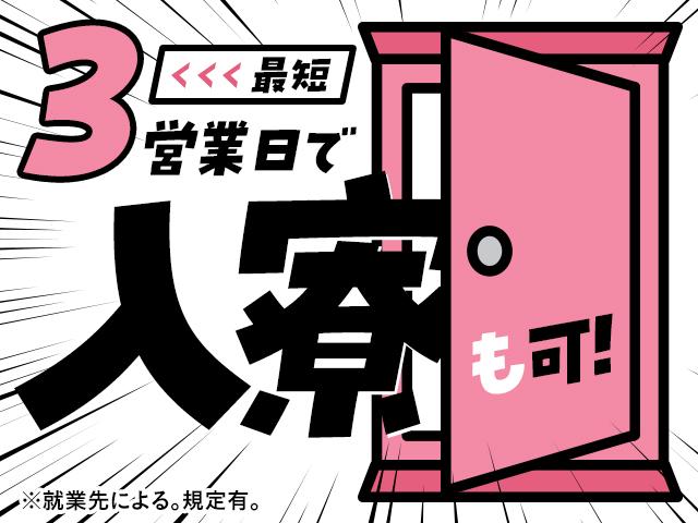 株式会社綜合キャリアオプション（1314VJ0528G42★76-N-T4）