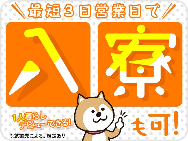 株式会社綜合キャリアオプション（1314VJ0528G41★32-S-T2）