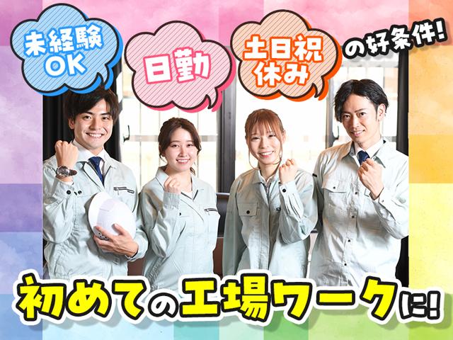 株式会社綜合キャリアオプション（1314VJ0528G2★84-S-T2）