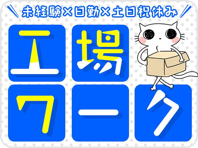 株式会社綜合キャリアオプション（1314VJ0528G2★55-N-T4）