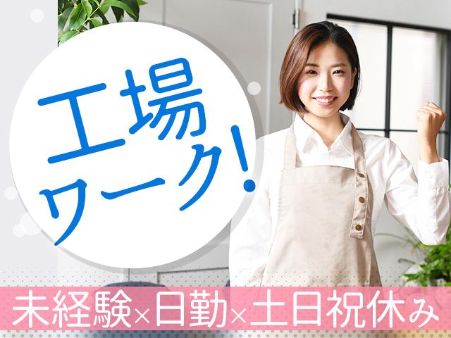 株式会社綜合キャリアオプション（1314VJ0528G47★82-N-T4）