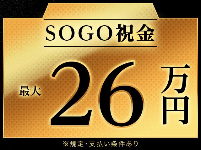 株式会社綜合キャリアオプション（1314VJ0528G2★81-S-T2）