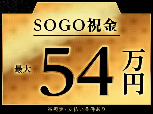 株式会社綜合キャリアオプション（1314VJ0702G40★37-S-T2）