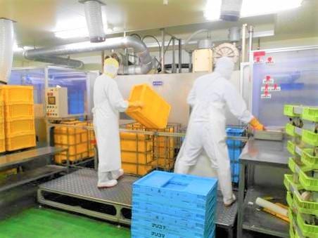 オープニングなのでできたばかりのピカピカ新工場での洗浄スタッフ!イチから一緒に頑張りませんか?