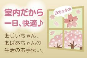天候に左右されない室内ワーク!
一日快適にお仕事に励めますよ◎