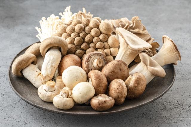 女性スタッフ活躍中！
あなたも仲間入りしませんか？
マッシュルームは世界一食べられているキノコです♪