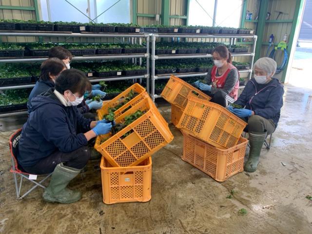 40代〜60代の女性スタッフ活躍中!
短期間でサクッとひと稼ぎしませんか?