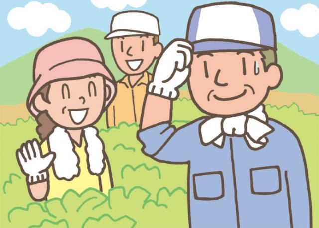 ポケモンセンター アルバイト募集に関する求人情報 お仕事探しならイーアイデム ポケモンセンター アルバイト募集に関する求人情報 お仕事探しならイーアイデム