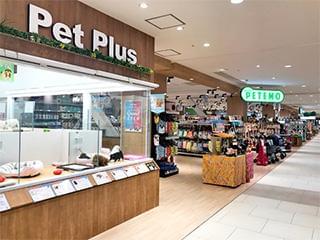 ペットショップ パートに求人情報 お仕事探しならイーアイデム