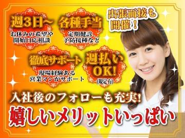 5月からのお仕事多数☆安心の転職活動♪