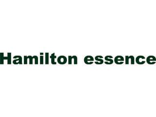 Hamilton Essence ハミルトンエッセンス の正社員情報 イーアイデム 千葉市美浜区のアパレル販売求人情報 Id A