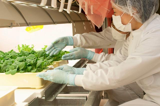 自分たちでつくった野菜が店頭に並び、おいしく食べていただける喜び。ぜひ一緒に味わいましょう!