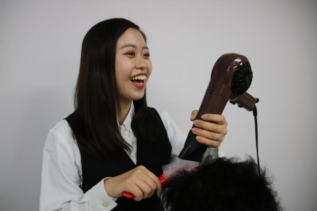 株式会社スヴェンソン 宇都宮スタジオの転職 就職求人情報ならイーアイデム正社員 Id A