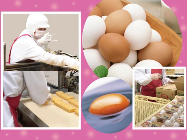 熊取町の卵の食品加工会社★色々な年代の方が活躍！●週3日〜OKの加工パートさん★機械好きを活かす製造[1]食品加工　
[2]簡単な包装作業
[3]食品製造・メンテナンス