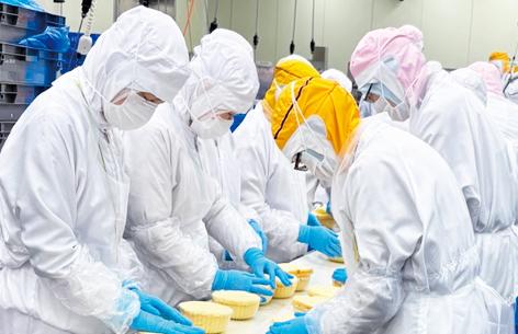 ★年末だけの短期★クリスマスケーキorおせちの製造！未経験OK！性別不問！高校生可！［1］クリスマス商品（ケーキなど）製造［超短期］
［2］おせち料理の製造［超短期］