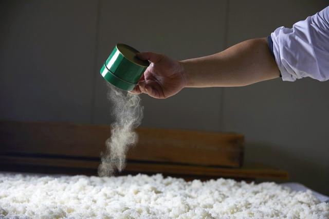 異業種からの転職組も活躍中！未経験スタートも熱い想いがあれば「日本酒造り」はできます！