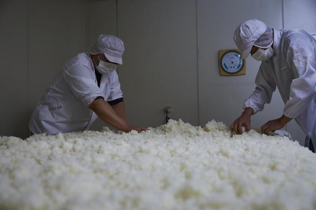 世界的なコンテストでも数々の賞を獲得！世界に向けて羽ばたく『九重雜賀』！