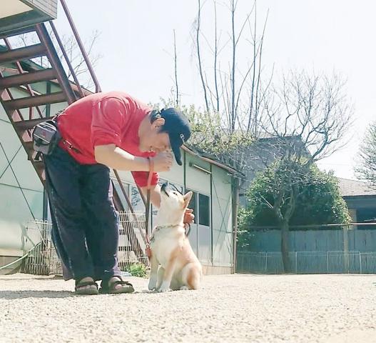 小型犬から大型犬まで――
さまざまなワンちゃんたちが、あなたを待っています◎