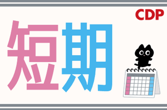 シーデーピージャパン株式会社　厚木営業所/34A19504