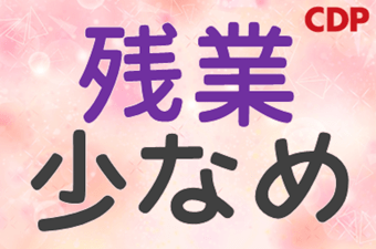 シーデーピージャパン株式会社　つくば営業所/16A38103