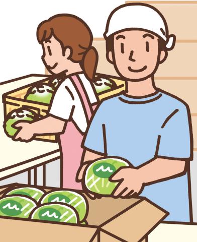 週3日〜、扶養内勤務OK!野菜に関する軽作業。移転したばかりのキレイな新センターが活躍の場!配送センター内での野菜の箱詰め・梱包