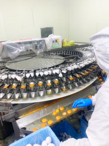 【曜日・時間の相談OK】週2日〜／1日4h〜／経験・学歴不問／正社員登用制度あり／扶養内勤務OK卵の計量・梱包・出荷準備