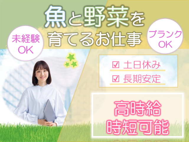 株式会社アクセス22