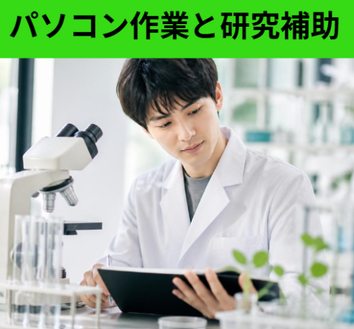 パソコン作業と研究補助