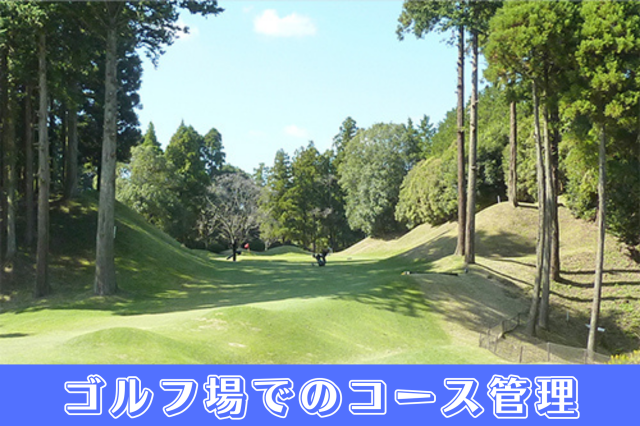 ダイナミックゴルフ成田