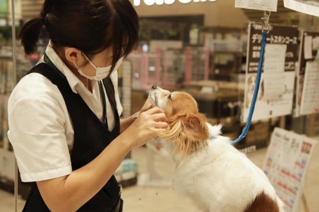 カインズ 浦和美園店のパート情報 イーアイデム さいたま市緑区のその他販売 サービス求人情報 Id A カインズ 浦和美園店のパート情報 イーアイデム さいたま市緑区のその他販売 サービス求人情報 Id A