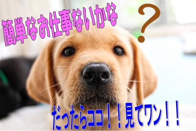 株式会社スペックス