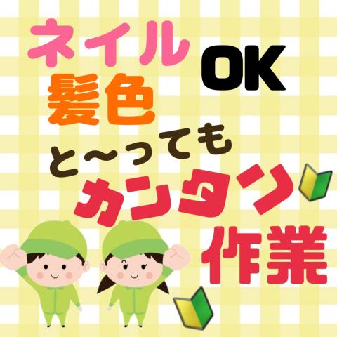 《海南市》★8時開始or9時開始選べる♪！ネイル・髪色自由／シール貼りなどの軽作業★シールを貼るなど軽作業