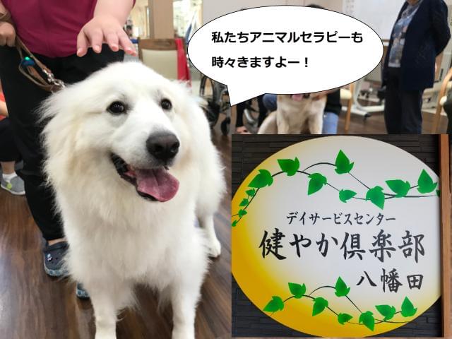 あなたの頑張る時間が、利用者様の笑顔の時間に。毎日生き生き過ごされる姿に、あなた自身笑顔をもらうことも!
