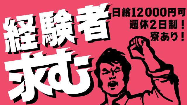 中高年の方からシニア層、大学生まで活躍中♪