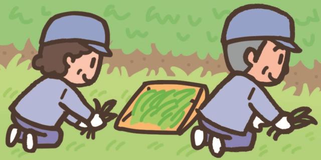 シニア世代のセカンドワークに！清川カントリークラブでのコース場内整備スタッフ募集ゴルフ場のコース場内の環境整備