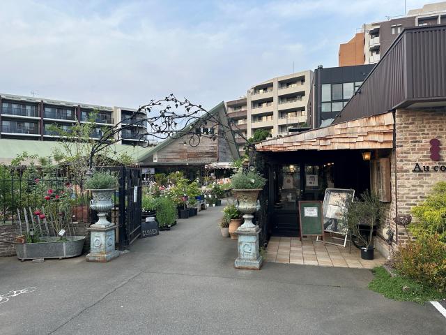 吉田観賞魚販売株式会社