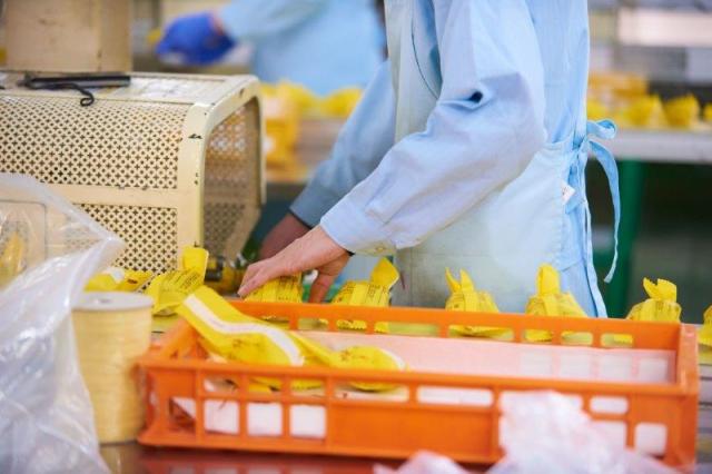 夏の短期バイト!人気の和菓子店で仕分け作業!Wワークとしても最適です!