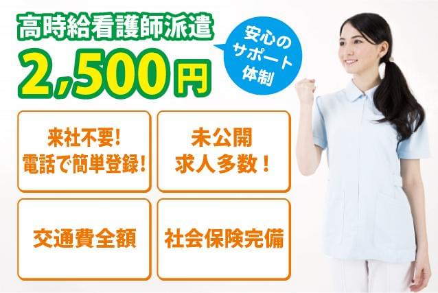 株式会社トラストグロース 新宿本社 第2営業部の派遣社員情報 イーアイデム 品川区の看護師 保健師 看護助手求人情報 Id A