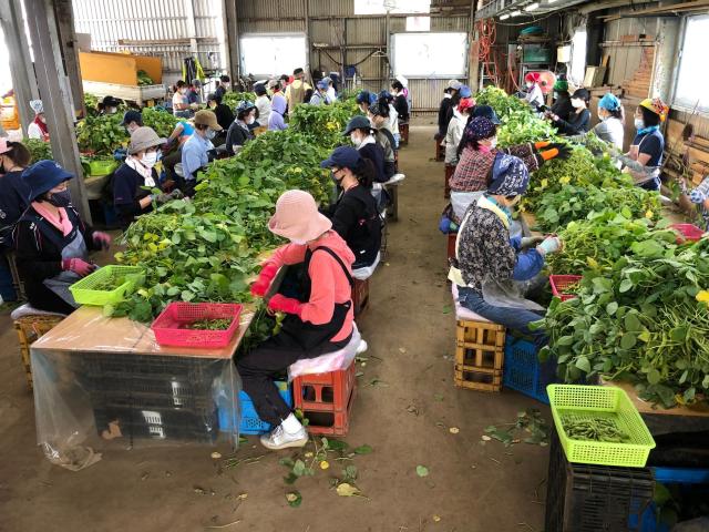 京急「三浦海岸駅」より徒歩7分の場所にある農園です♪
車通勤OK！電車での通勤も便利ですよ！