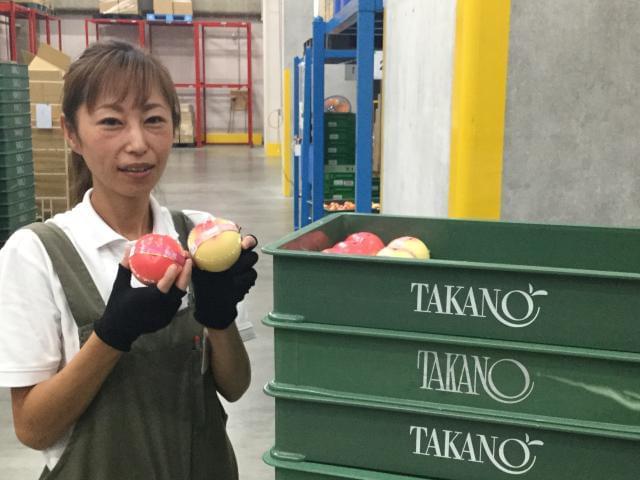 「新宿高野」物流センターでのお仕事。有名店の商品を扱う安心感とワクワク感が味わえる!