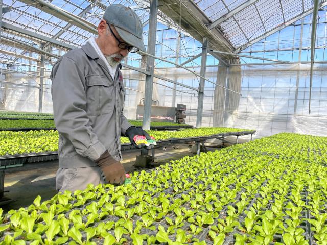 無理なくできるお仕事をお任せします！
未経験者さんも安心して挑戦できますよ。