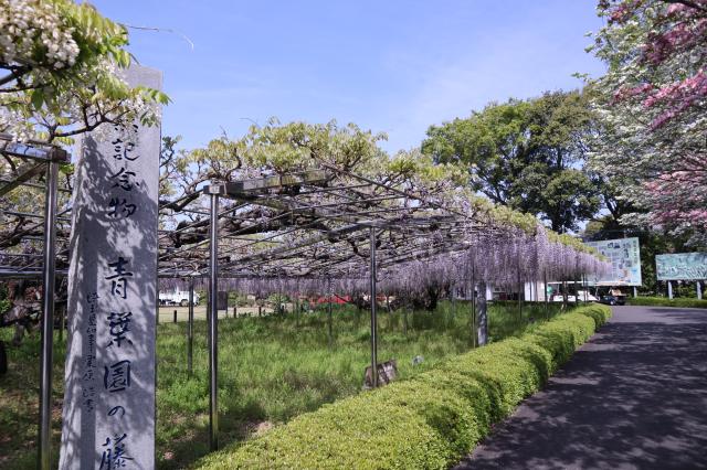 「青葉園の藤」で有名な公園墓地が活躍の舞台！2職種募集／心身ともに働きやすい好環境［1］花屋兼装飾担当
［2］園内清掃