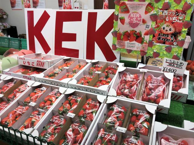 新鮮な野菜と果物がたくさん!
超特価で購入可能な従業員割引あり!