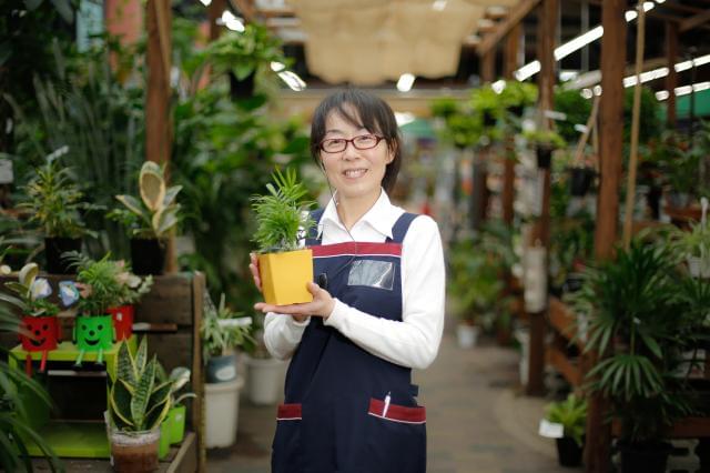 仕事で得た知識が、生活にも活きる! それがホームセンターで働く大きな魅力です。